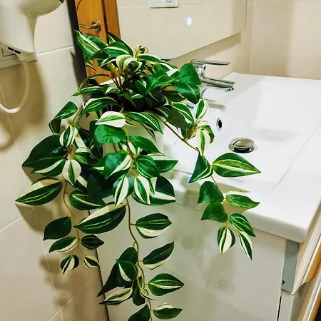 Piso Vacacional Acogedor Apartmán *