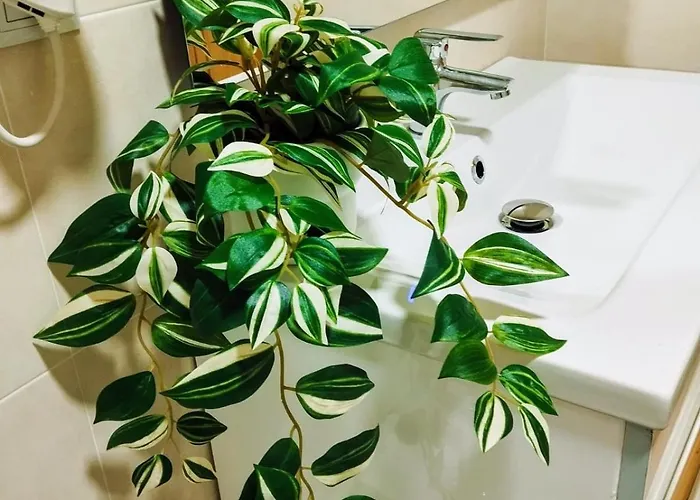 Piso Vacacional Acogedor Apartment *